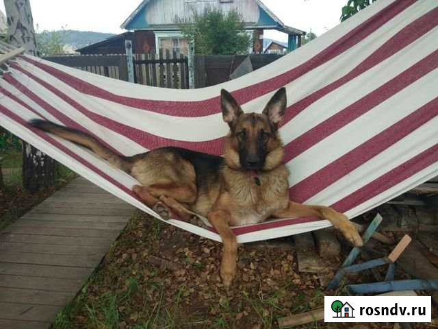 Дача 36 м² на участке 6 сот. на продажу в Братске Братск - изображение 1