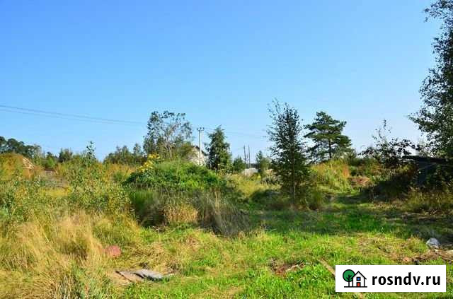 Участок СНТ, ДНП 12 сот. на продажу в Сосновом Бору Сосновый Бор - изображение 1