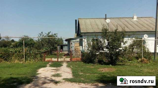 Дом 64 м² на участке 13 сот. на продажу в Ливнах Ливны - изображение 1