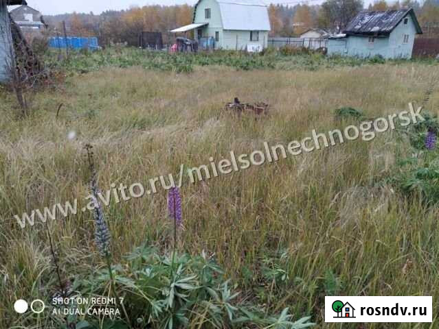 Участок СНТ, ДНП 8 сот. на продажу в Солнечногорске Солнечногорск - изображение 1