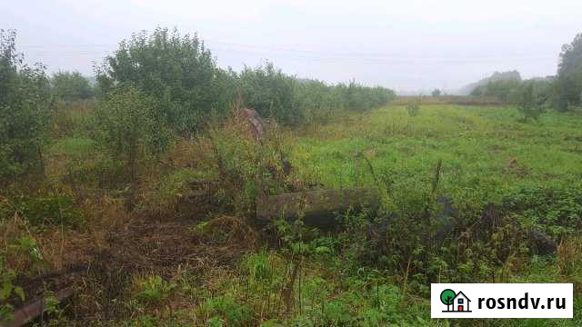 Участок СНТ, ДНП 30 сот. на продажу в Луховицах Луховицы - изображение 1