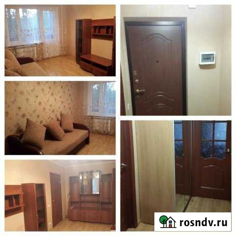 1-комнатная квартира, 36 м², 5/9 эт. в аренду на длительный срок в Люберцах Люберцы - изображение 1