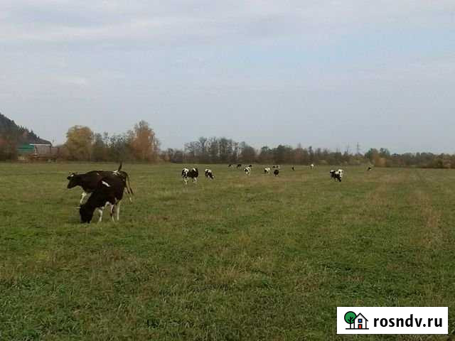 Участок СНТ, ДНП 3500 сот. на продажу в Уральском Уральский - изображение 1