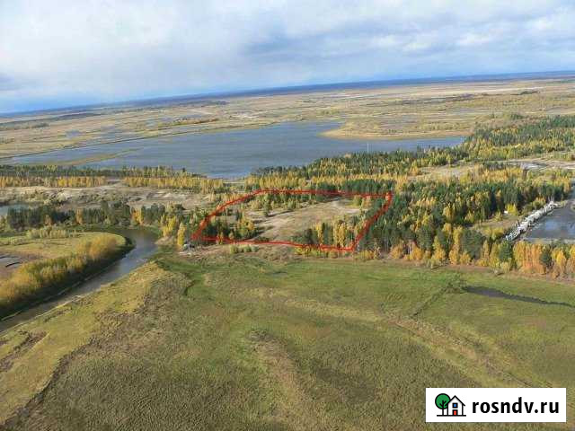 Участок СНТ, ДНП 240 сот. на продажу в Сургуте Ханты-Мансийского АО Сургут - изображение 1