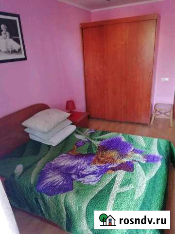 1-комнатная квартира, 48 м², 2/5 эт. в аренду посуточно в Великих Луках Великие Луки - изображение 1