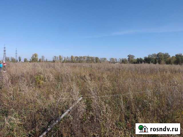 Участок ИЖС 12 сот. на продажу в Берёзовке Алтайского края Берёзовка - изображение 1