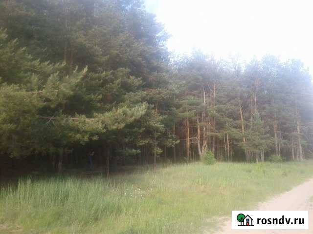 Участок СНТ, ДНП 10 сот. на продажу в Рязани Рязань - изображение 1