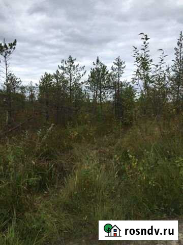 Участок ИЖС 10 сот. на продажу в Сургуте Ханты-Мансийского АО Сургут - изображение 1