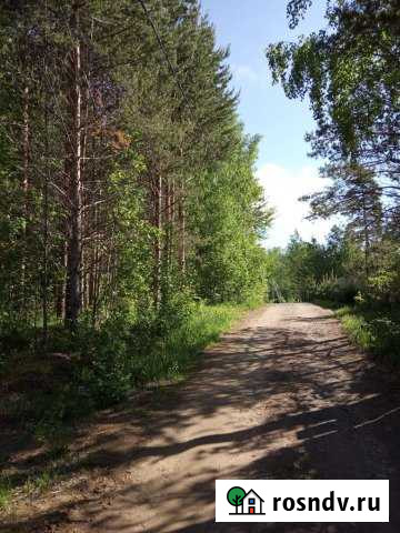 Участок СНТ, ДНП 17 сот. на продажу в Сертолово Сертолово - изображение 1