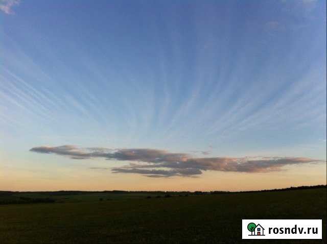 Участок СНТ, ДНП 1200 сот. на продажу в Больших Березниках Большие Березники - изображение 1