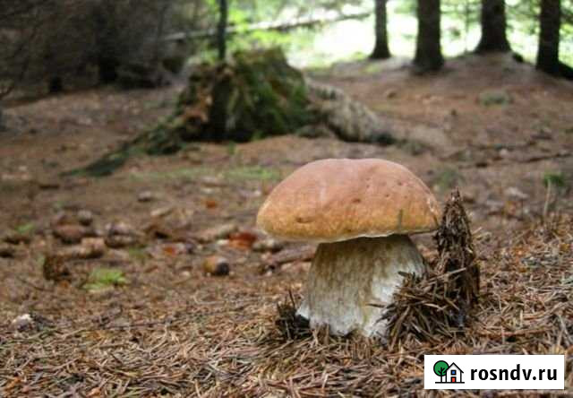 Участок ИЖС 350 сот. на продажу в Первоуральске Первоуральск - изображение 1