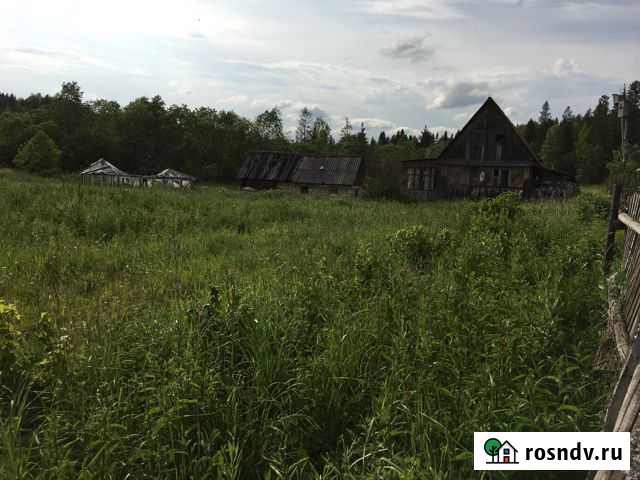 Участок ИЖС 34 сот. на продажу в Добрянке Добрянка - изображение 1