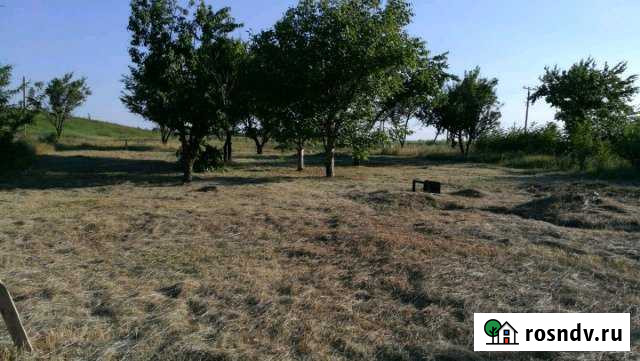 Участок СНТ, ДНП 6 сот. на продажу в Заветном Заветный - изображение 1