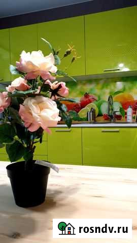 Квартира-студия, 35 м², 2/12 эт. в аренду посуточно в Верхней Пышме Верхняя Пышма - изображение 1