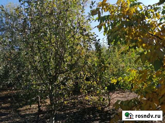 Дом 74 м² на участке 50 сот. на продажу в Незамаевской Незамаевская - изображение 1