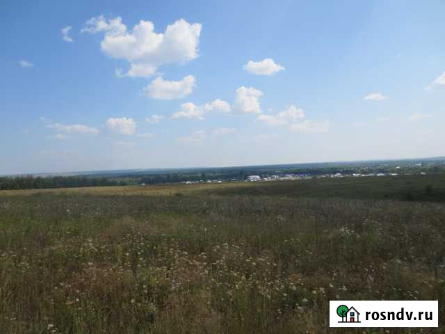 Участок ИЖС 840 сот. на продажу в Новом Буяне Новый Буян - изображение 1