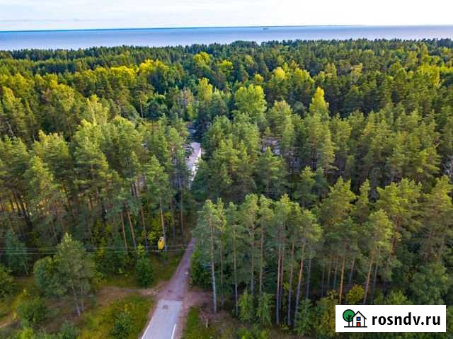 Участок СНТ, ДНП 2867 сот. на продажу в Песочном Песочное - изображение 1