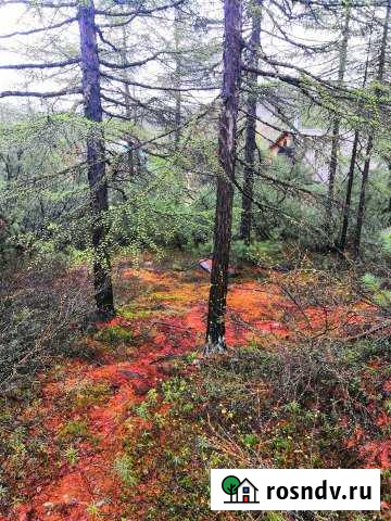 Участок СНТ, ДНП 6 сот. на продажу в Магадане Магадан - изображение 1