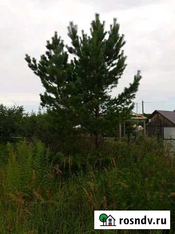 Участок СНТ, ДНП 6 сот. на продажу в Тольятти Тольятти - изображение 1