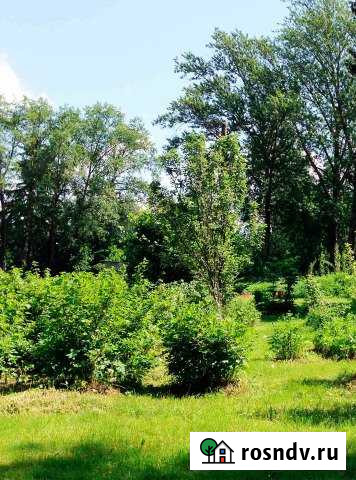 Участок ИЖС 14 сот. на продажу в Сиверском Сиверский - изображение 1