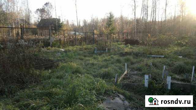 Участок СНТ, ДНП 8 сот. на продажу в Щеглово Щеглово - изображение 1