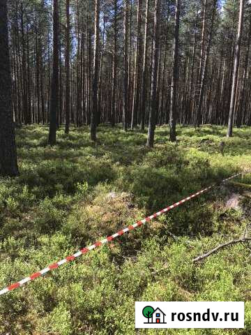 Участок ИЖС 9 сот. на продажу в Медвежьегорске Медвежьегорск - изображение 1