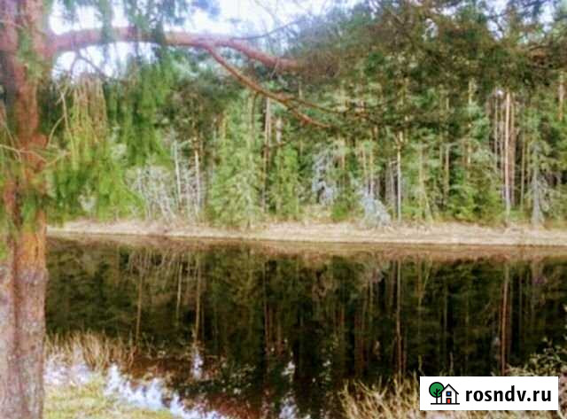 Участок ИЖС 11 сот. на продажу в Тотьме Тотьма - изображение 1