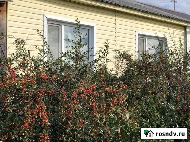 Дом 43 м² на участке 6 сот. на продажу в Междуреченском Междуреченский - изображение 1