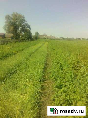 Участок ИЖС 10 сот. на продажу в Арзамасе Арзамас - изображение 1