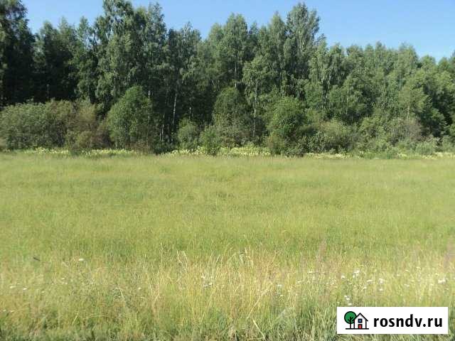 Участок СНТ, ДНП 900 сот. на продажу в Кашине Кашин - изображение 1