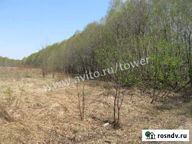 Участок СНТ, ДНП 1500 сот. на продажу в Хабаровске Хабаровск - изображение 1