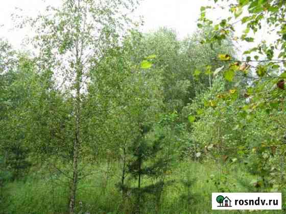 Участок СНТ, ДНП 6 сот. на продажу в Красном Селе Красное Село