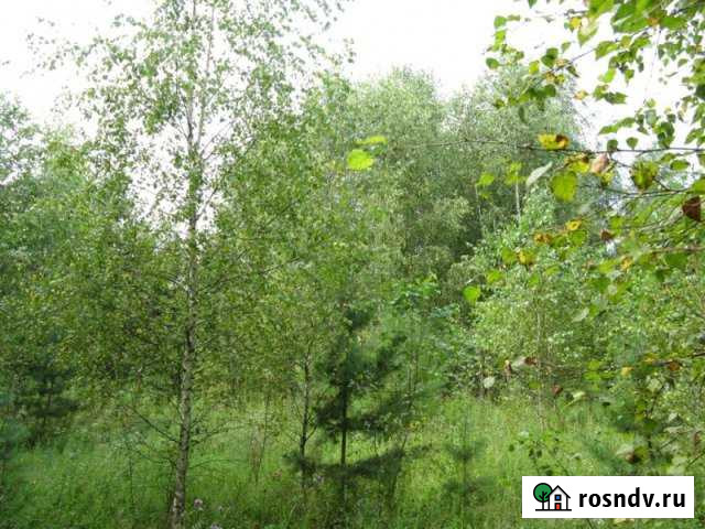 Участок СНТ, ДНП 6 сот. на продажу в Красном Селе Красное Село - изображение 1