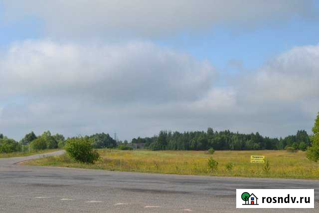 Участок СНТ, ДНП 420 сот. на продажу в Старой Руссе Старая Русса - изображение 1