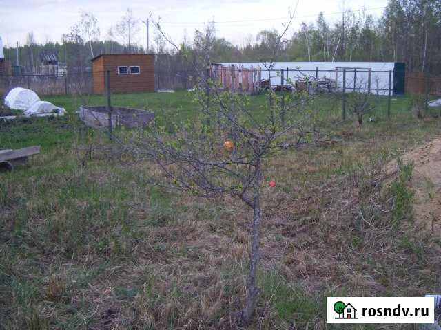 Дача 50 м² на участке 12 сот. на продажу в Дрезне Дрезна - изображение 1