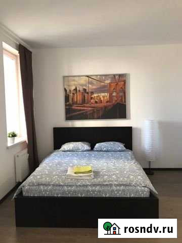 Квартира-студия, 26 м², 2/12 эт. в аренду посуточно в Кудрово Кудрово - изображение 1