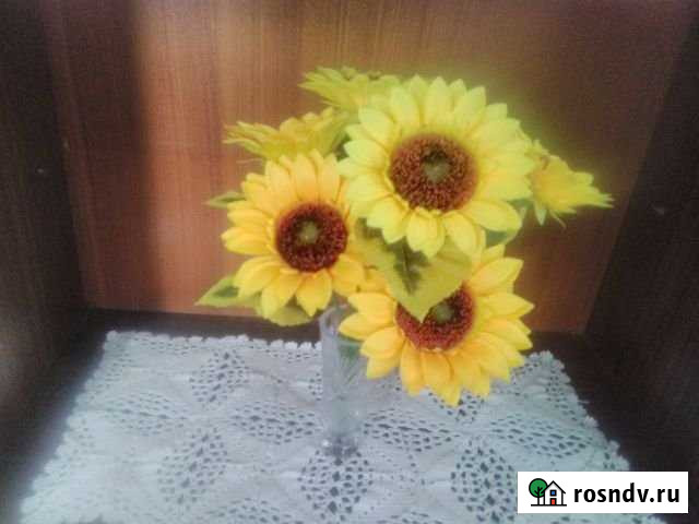 2-комнатная квартира, 38 м², 1/2 эт. на продажу в Ветлужском Нижегородской области Ветлужский - изображение 1