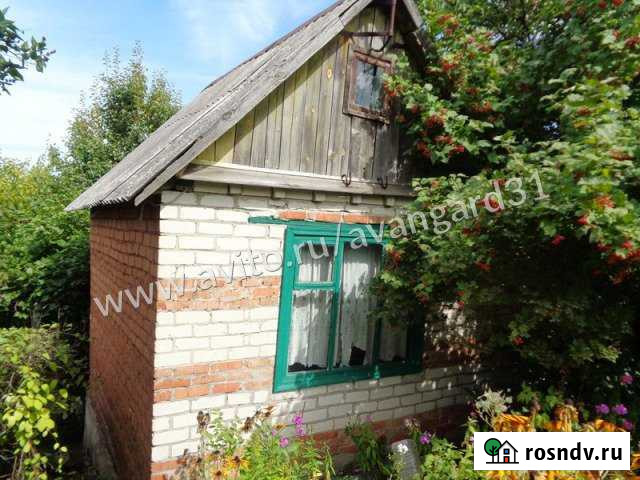Дача 30 м² на участке 6 сот. на продажу в Северном Белгородской области Северный - изображение 1