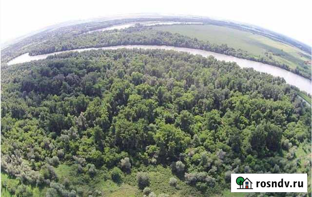 Участок ИЖС 520 сот. на продажу в Апрелевке Апрелевка - изображение 1