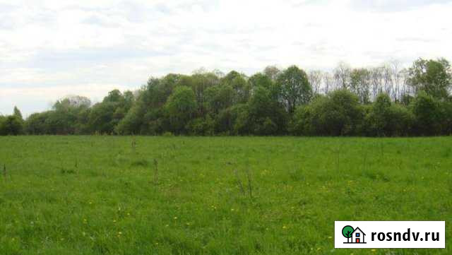 Участок ИЖС 550 сот. на продажу в Белоярском Свердловской области Белоярский - изображение 1