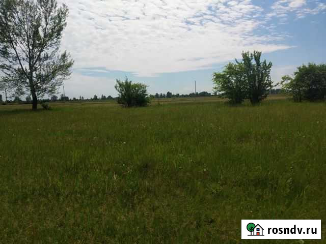 Участок ИЖС 15 сот. на продажу в Черногорске Черногорск - изображение 1