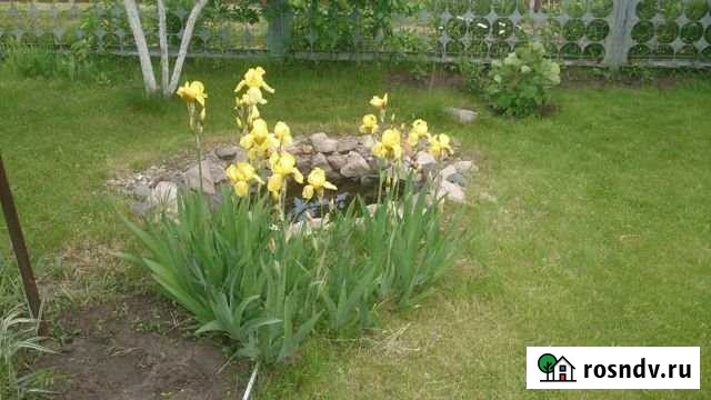 Дача 60 м² на участке 4 сот. на продажу в Ульяновске Ульяновск - изображение 1