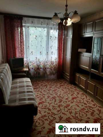 1-комнатная квартира, 32 м², 5/5 эт. в аренду посуточно в Сланцах Сланцы - изображение 1