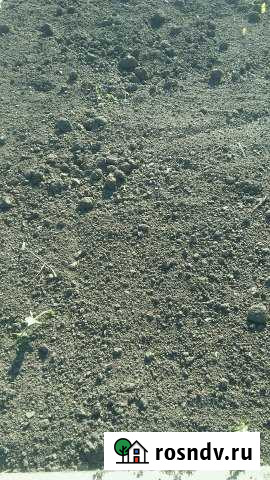 Участок СНТ, ДНП 6 сот. на продажу в Разумном Разумное - изображение 1