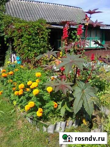 Дача 20 м² на участке 6 сот. на продажу в Пскове Псков - изображение 1