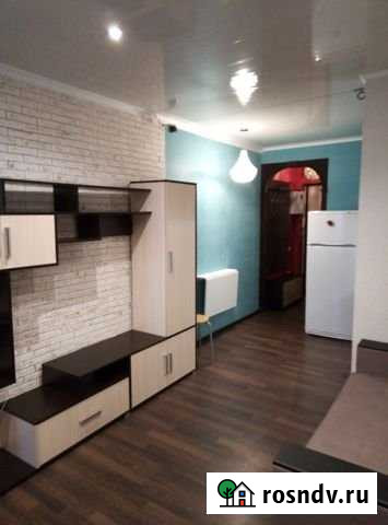 Квартира-студия, 24.5 м², 13/15 эт. в аренду на длительный срок в Никольском Ленинградской области Никольское - изображение 1