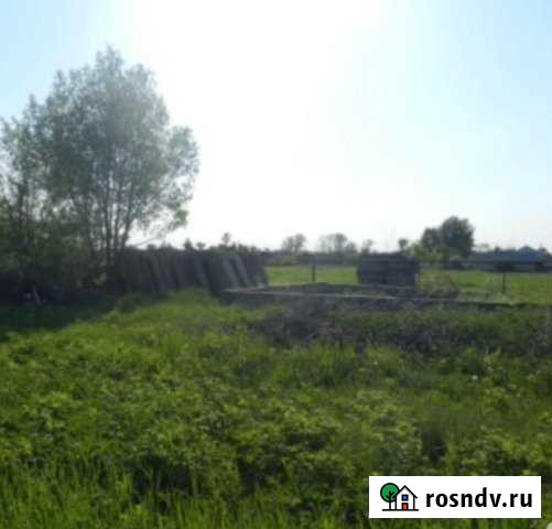 Участок ИЖС 27 сот. на продажу в Починках Починки - изображение 1