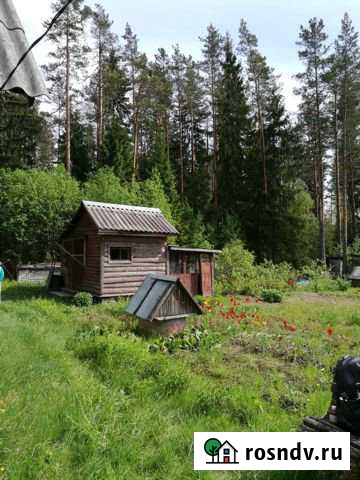 Дача 100 м² на участке 11.6 сот. на продажу в Рощино Ленинградской области Рощино - изображение 1