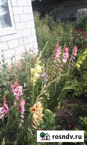 Дача 50 м² на участке 9 сот. на продажу в Ульяновске Ульяновск - изображение 1