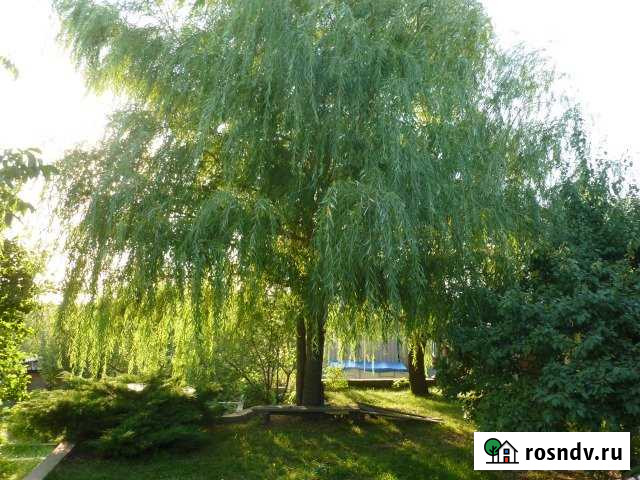 Дача 62 м² на участке 6 сот. на продажу в Волгограде Волгоград - изображение 1